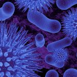 Ultrageek #195 – Bactérias