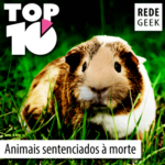 TOP 10 – Animais sentenciados à morte