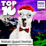 TOP 10 – Animais (quase) imortais